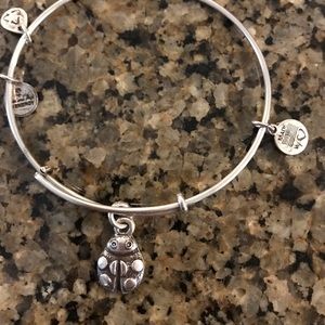 Alex and Ani ladybug